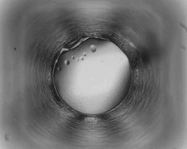 X0000098030699200804111322