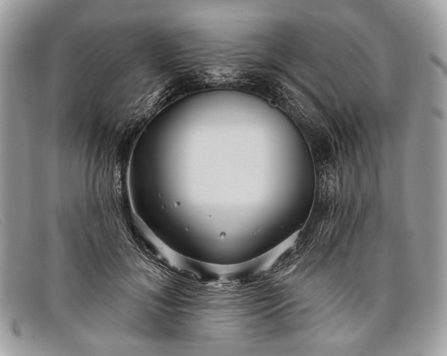 X0000098030700200804111322