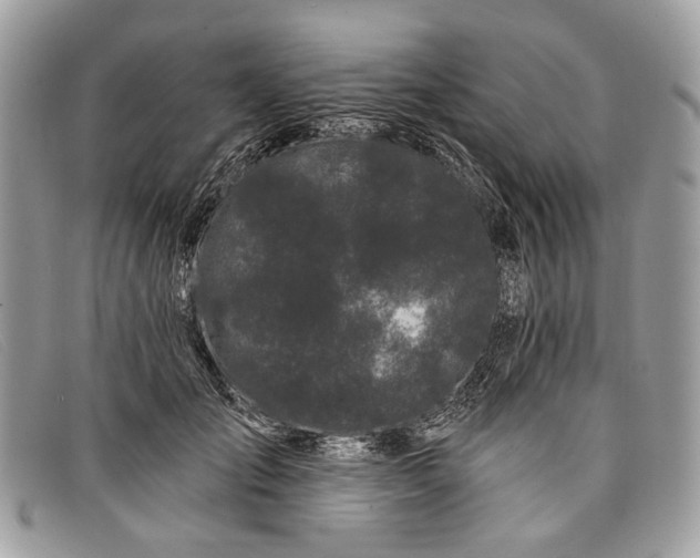 X0000098030701200804111322