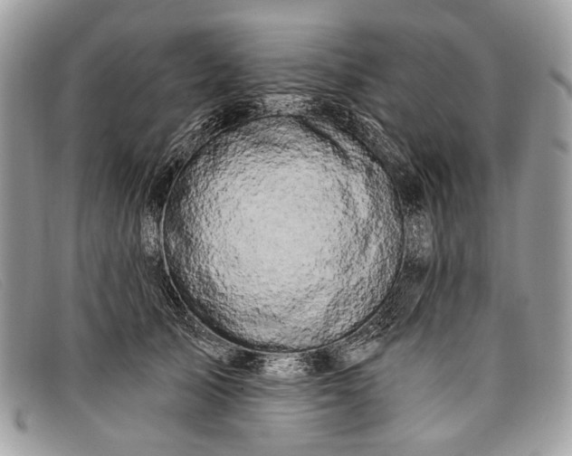 X0000098030705200804111322