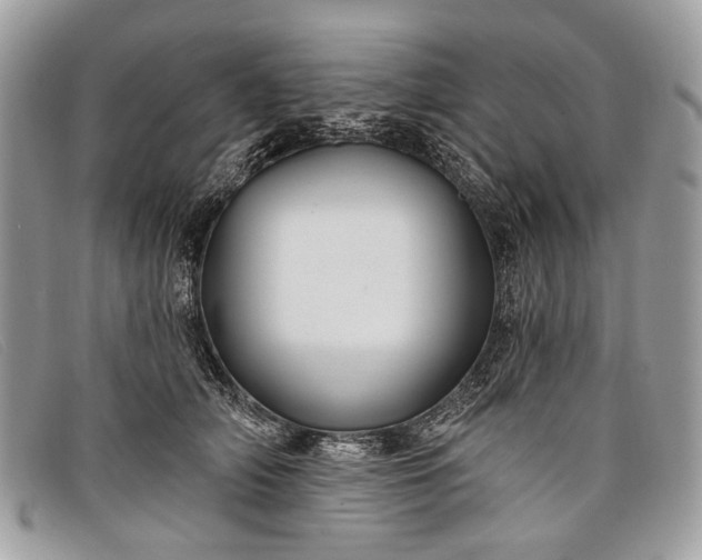 X0000098030706200804111322