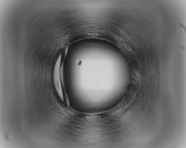 X0000098030707200804111322