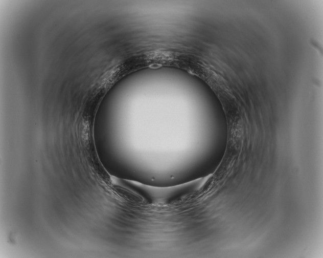 X0000098030708200804111322