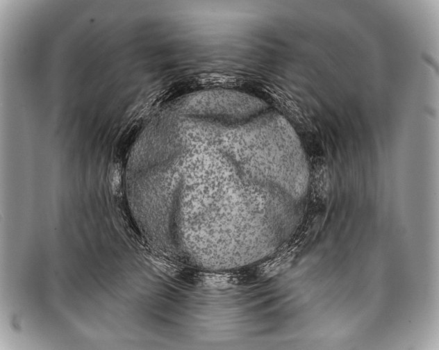 X0000098030709200804111322