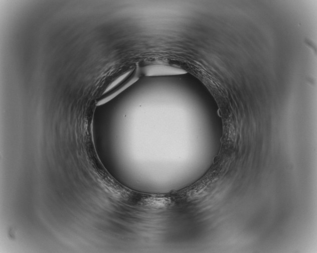 X0000098030711200804111322