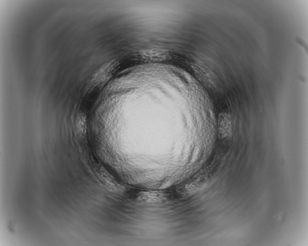 X0000098030713200804111322