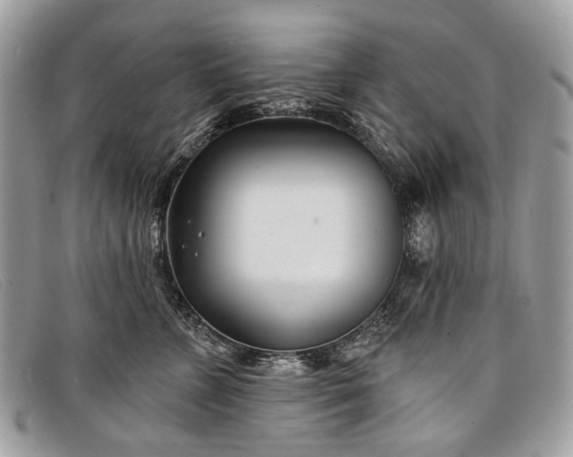 X0000098030715200804111322