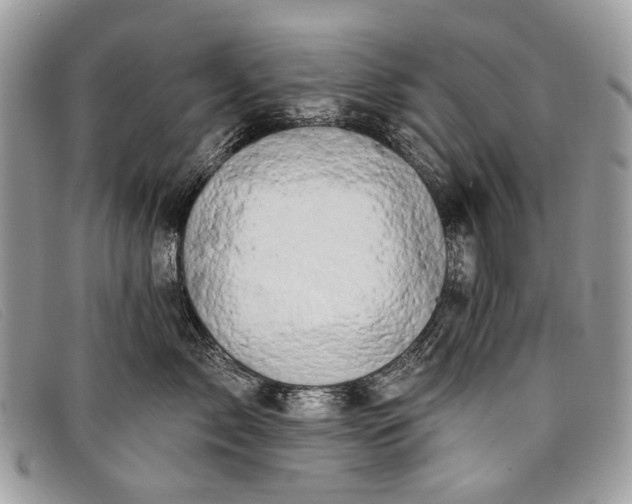 X0000098030717200804111322