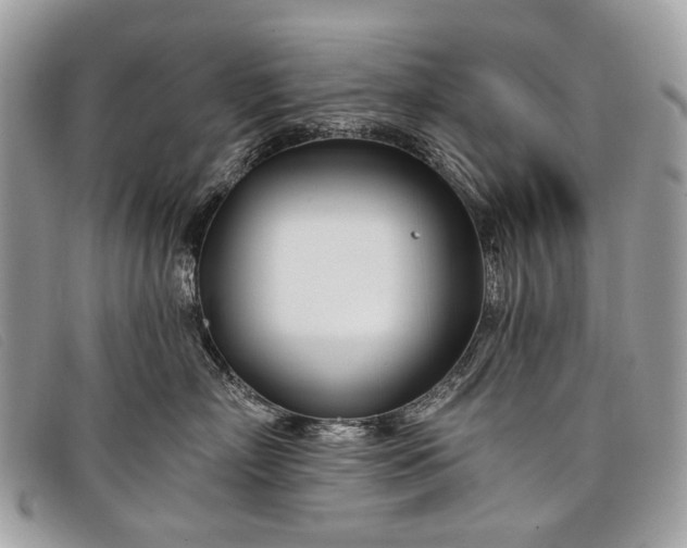 X0000098030718200804111322