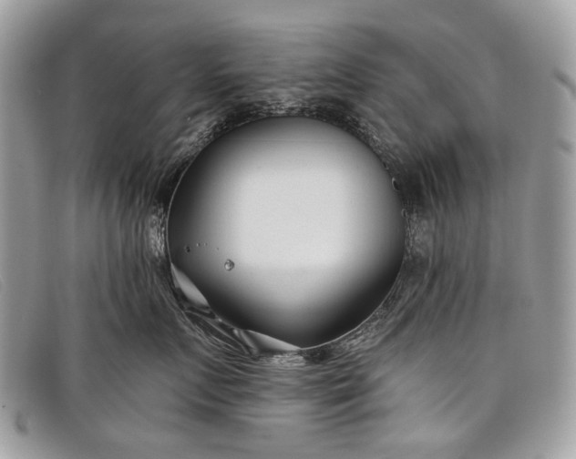 X0000098030719200804111322