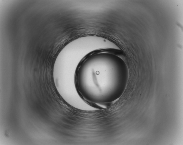 X0000098030720200804111322