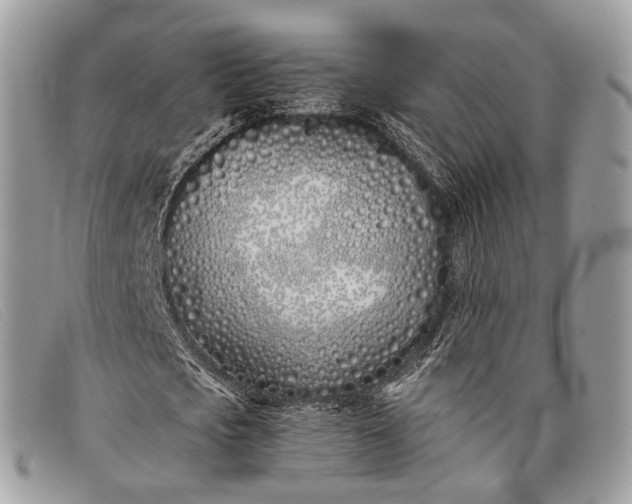 X0000098030721200804111321