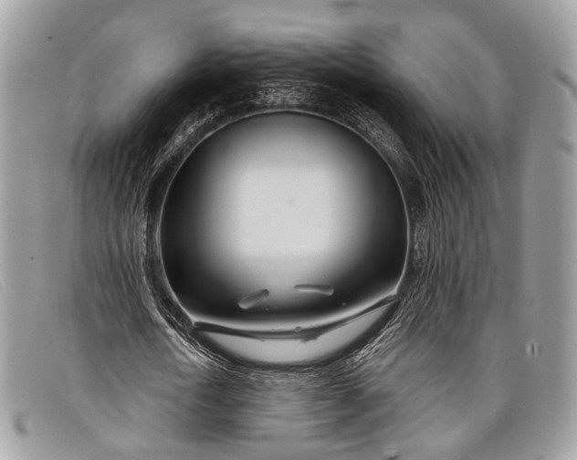 X0000098030722200804111321