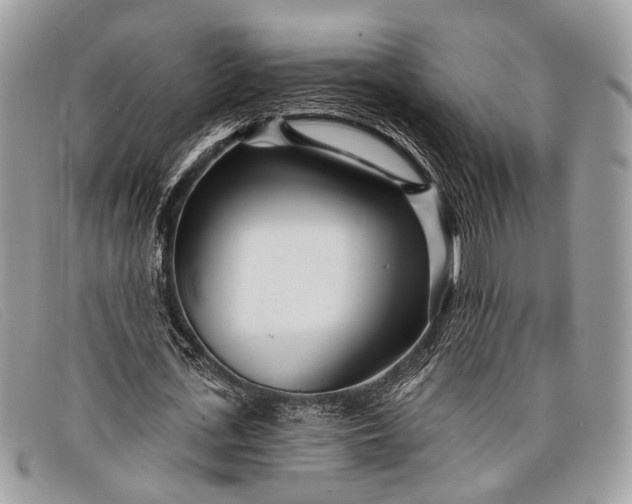 X0000098030723200804111321