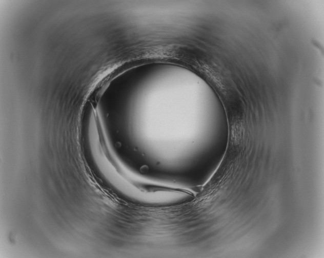 X0000098030724200804111321