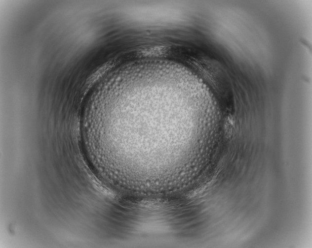 X0000098030725200804111321