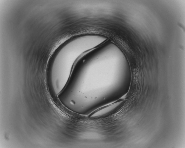 X0000098030726200804111321