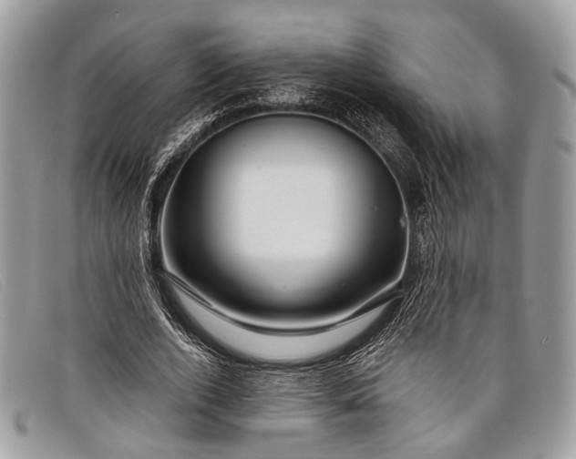 X0000098030728200804111321