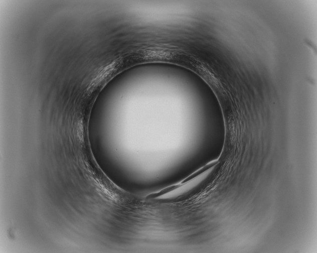 X0000098030729200804111321