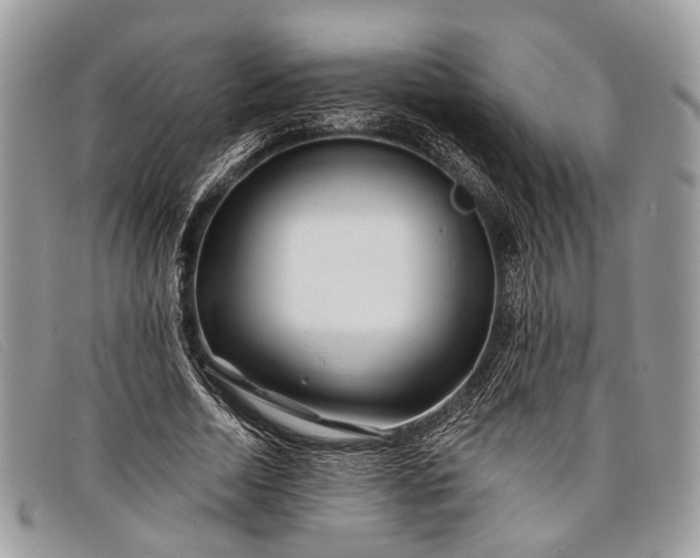 X0000098030730200804111321