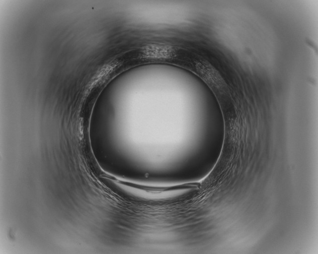 X0000098030731200804111321