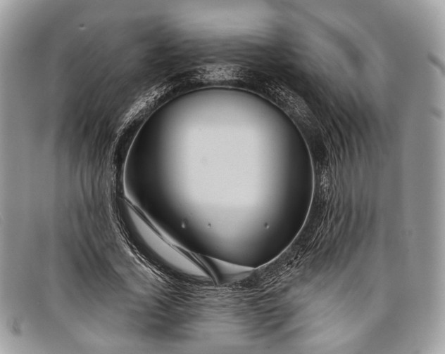 X0000098030732200804111322