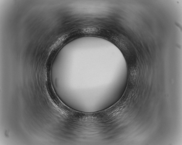 X0000098030734200804111322