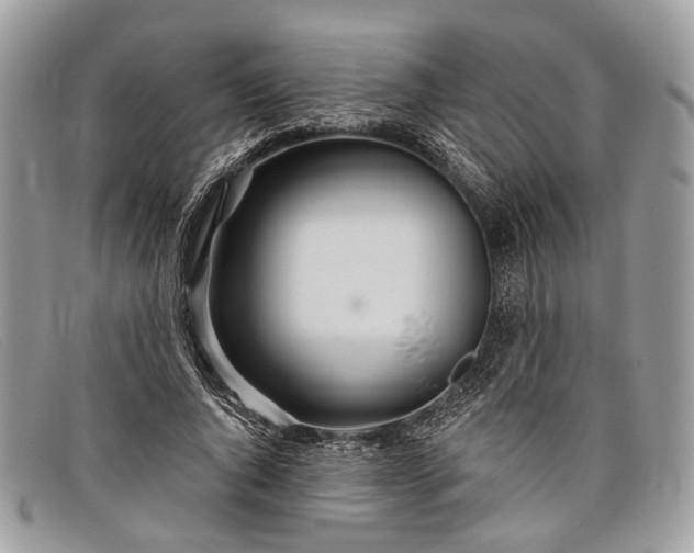 X0000098030736200804111322