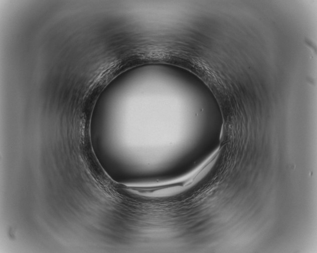 X0000098030739200804111322