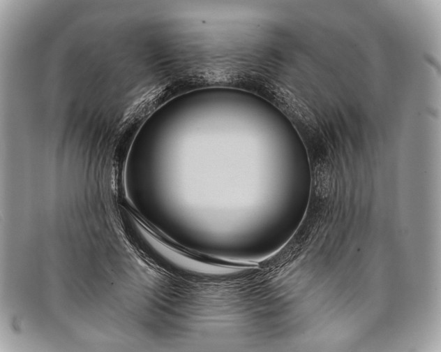 X0000098030740200804111322