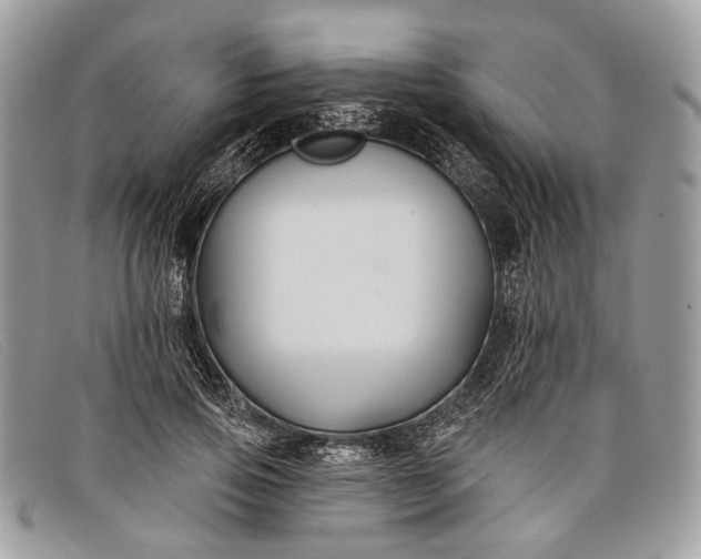 X0000098030741200804111322