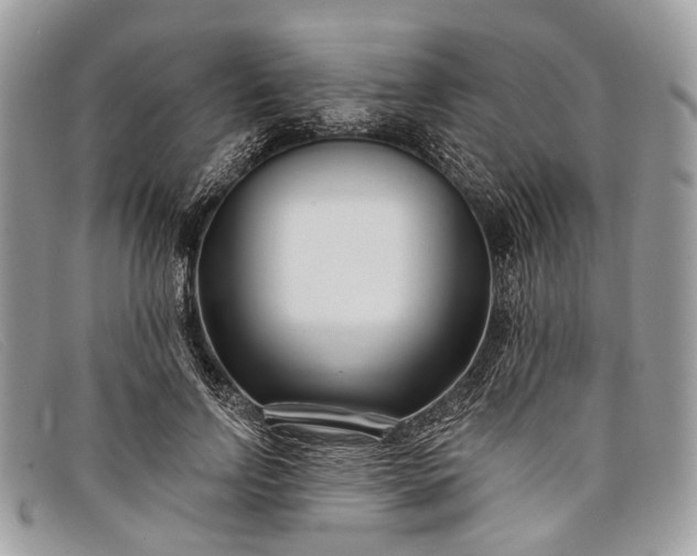 X0000098030742200804111322