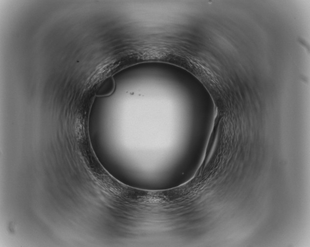 X0000098030743200804111322