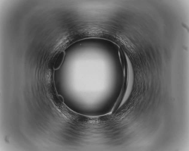 X0000098030744200804111322