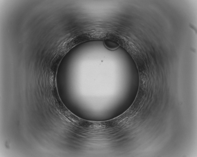 X0000098030745200804111322