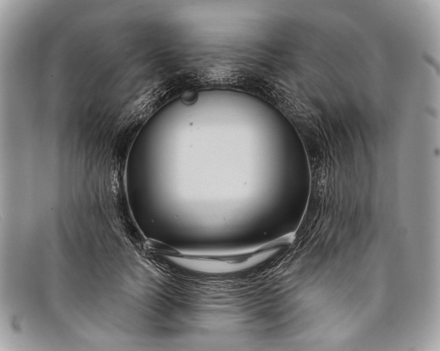 X0000098030746200804111322