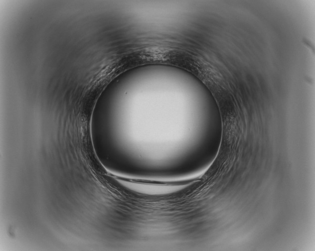 X0000098030747200804111322