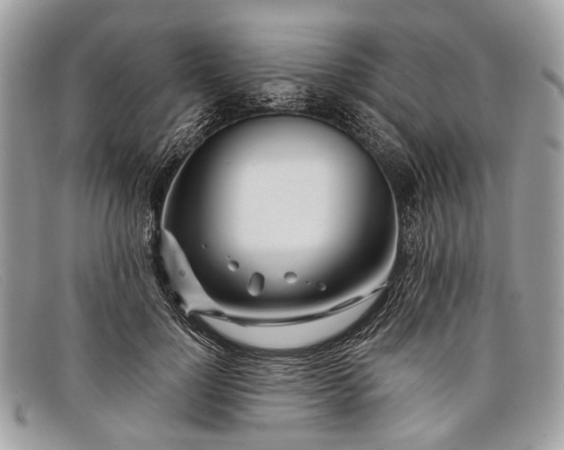 X0000098030748200804111322