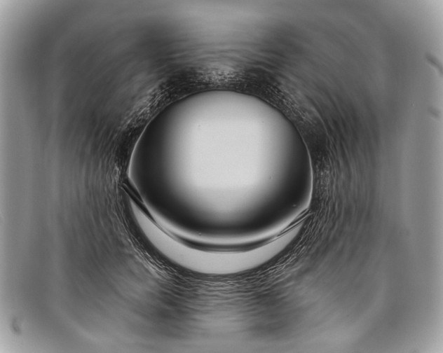 X0000098030750200804111322