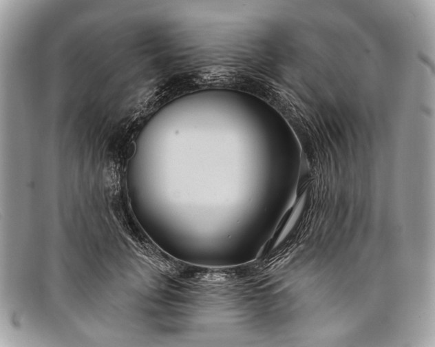 X0000098030751200804111322