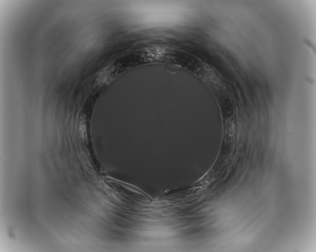 X0000098030754200804111322