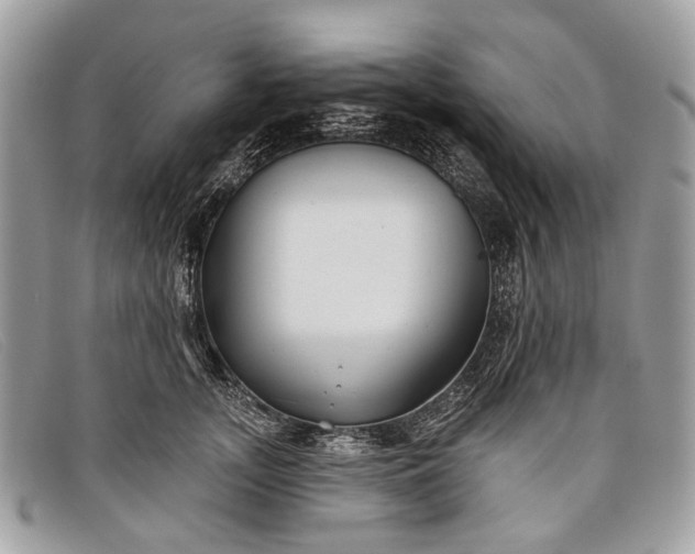 X0000098030755200804111322