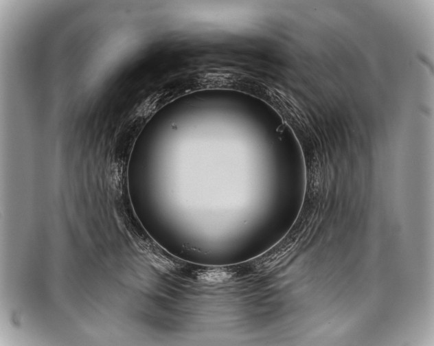 X0000098030759200804111322