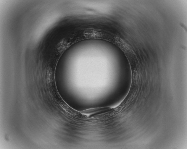 X0000098030760200804111322