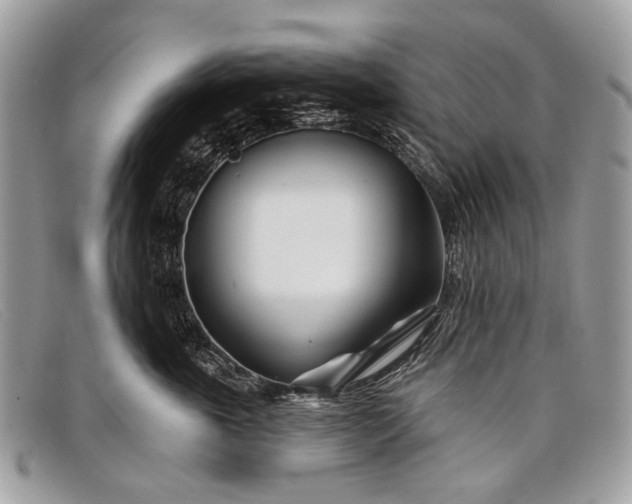 X0000098030763200804111322