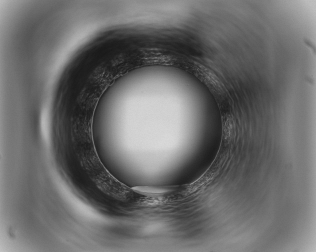 X0000098030764200804111322