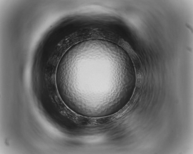 X0000098030765200804111322