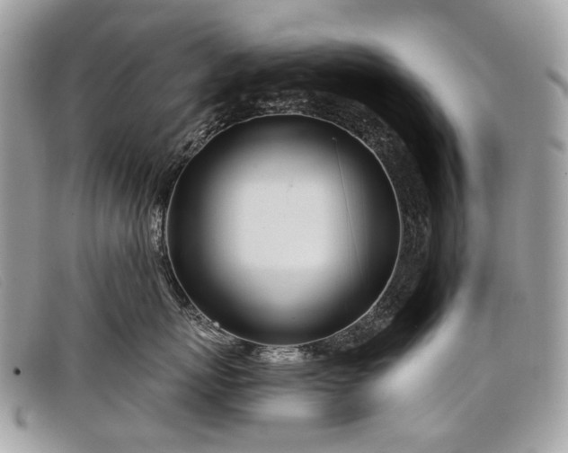 X0000098030767200804111322