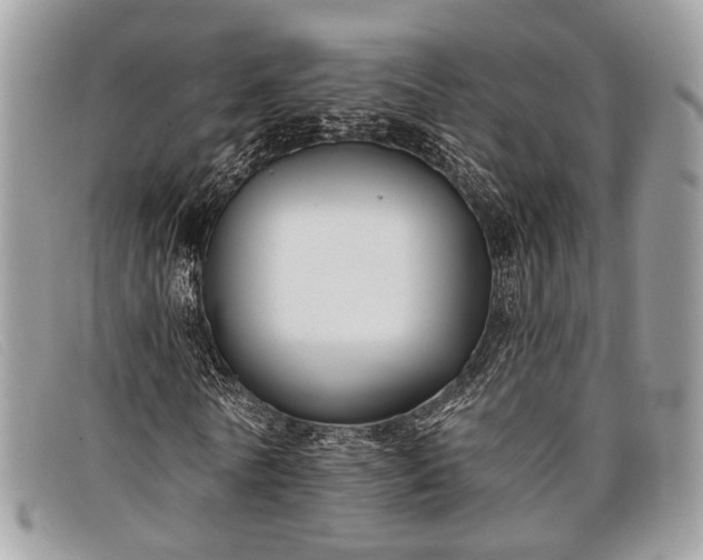 X0000098030770200804111321