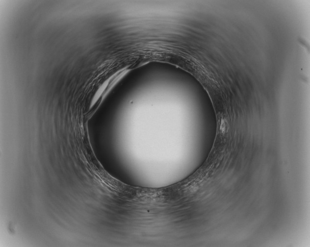 X0000098030771200804111321